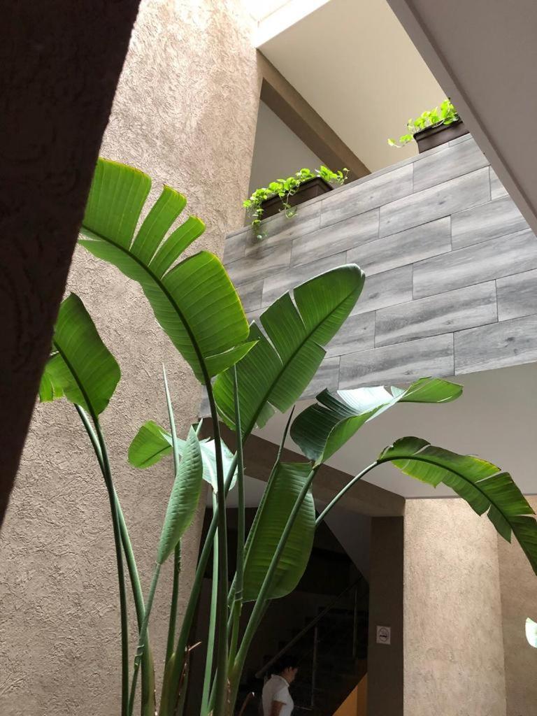 מונטריי Hotel Plaza Arteaga מראה חיצוני תמונה